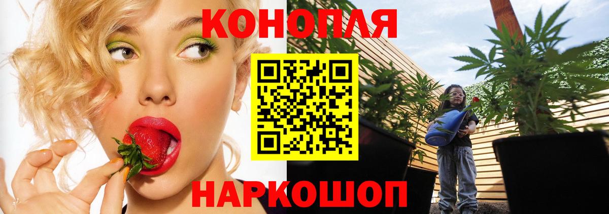 Шишки марихуана конопля  Канабис AK-47  Конопля семена  Вход с VPN  МАРИХУАНА AK-47  Тосно 